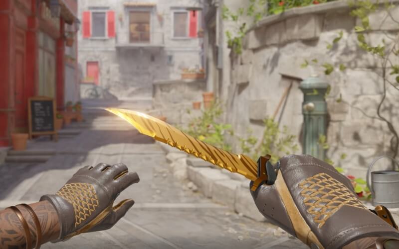 https://static.draft5.gg/news/2026/09/11163149/Bowie-Knife-Tiger-Tooth-Moto-Gloves-Overtake.jpg