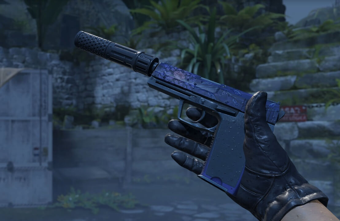 https://static.draft5.gg/news/2026/10/06141704/USP-S-Black-Lotus.jpg